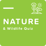 Nature & Wildlife Quiz